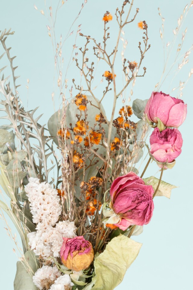 flower pressed by light