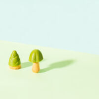 物撮り サンプル